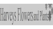 Florist in Sheffield, South Yorkshire